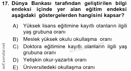 Soru 17