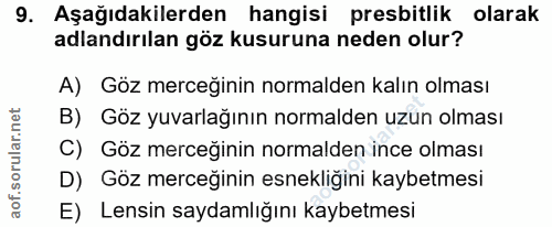 Soru 9