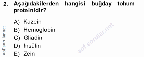 Soru 2