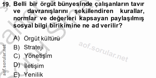 Soru 19