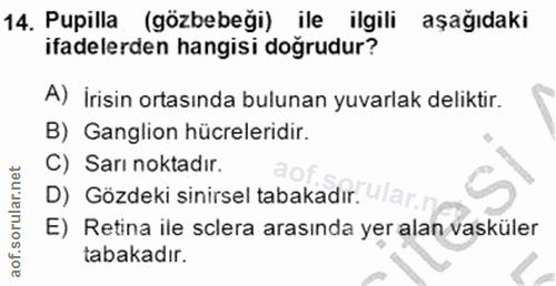 Soru 14