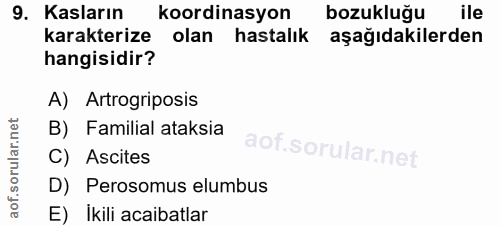Soru 9
