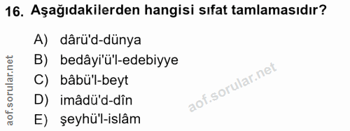 Soru 16
