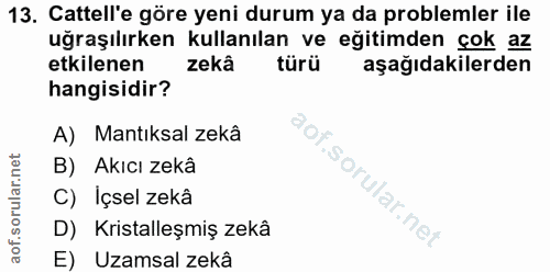 Soru 13