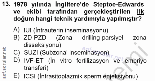 Soru 13
