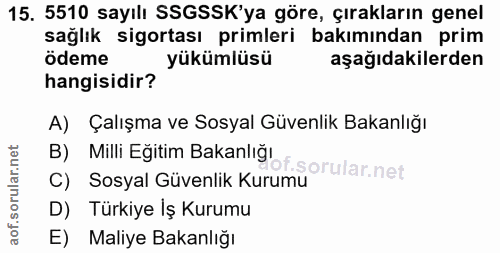 Soru 15