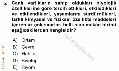 Soru 5