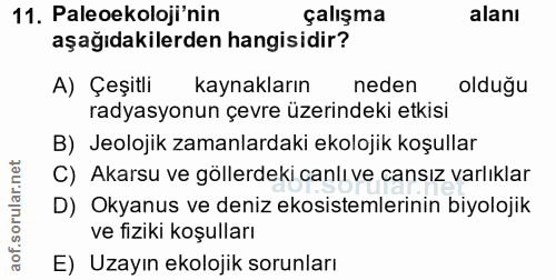 Soru 11