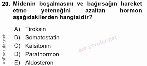 Soru 20