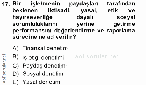 Soru 17