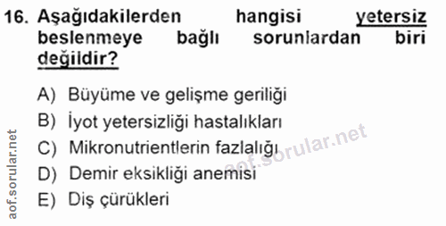 Soru 16