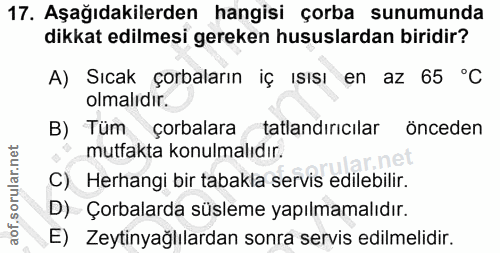 Soru 17