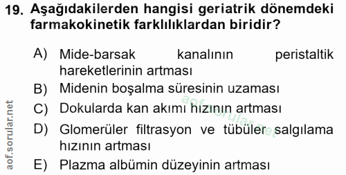 Soru 19