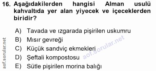 Soru 16