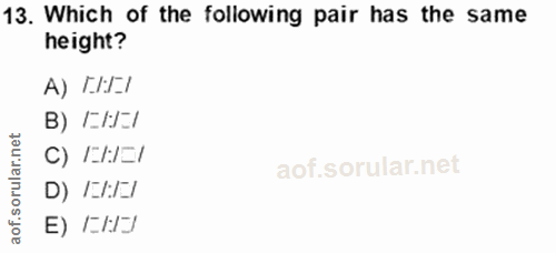 Soru 13