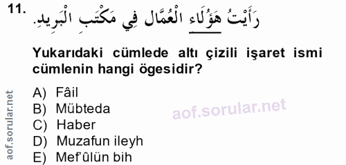 Soru 11