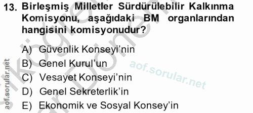 Soru 13