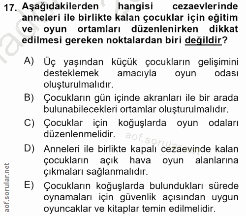 Soru 17