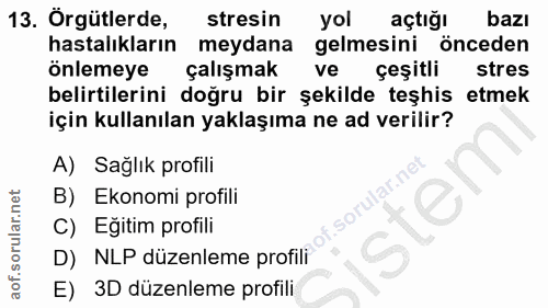 Soru 13