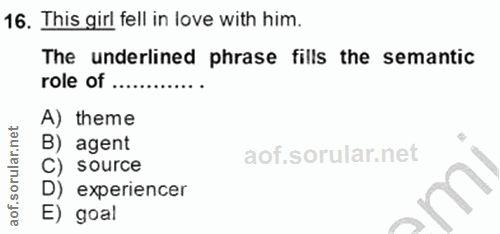 Soru 16