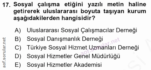 Soru 17