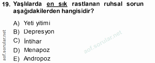 Soru 19