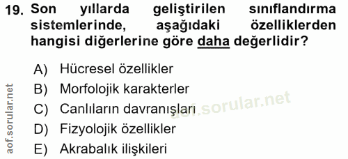 Soru 19