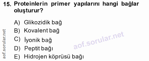 Soru 15