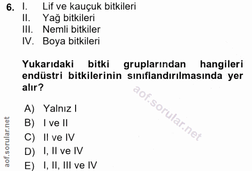 Soru 6