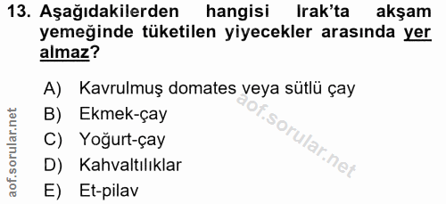Soru 13