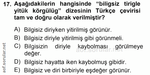 Soru 17