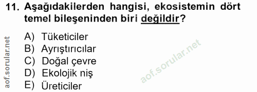 Soru 11