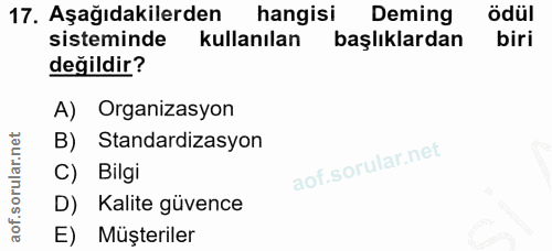 Soru 17