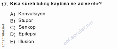Soru 17
