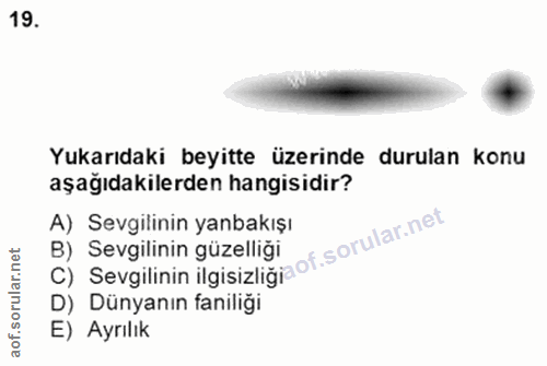 Soru 19