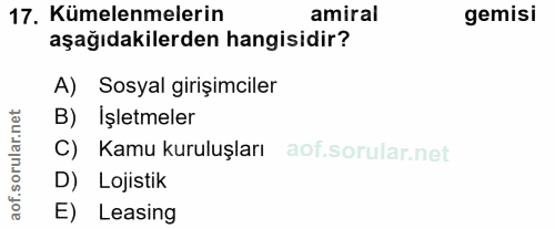 Soru 17