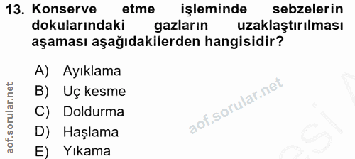 Soru 13