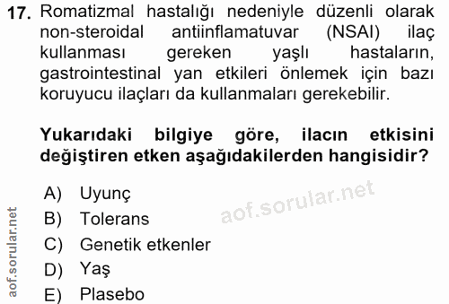 Soru 17