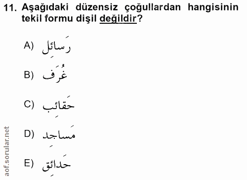 Soru 11