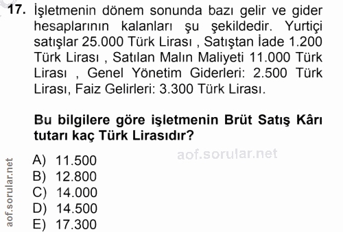 Soru 17