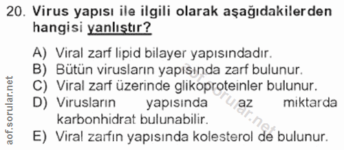 Soru 20
