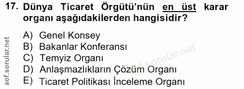 Soru 17