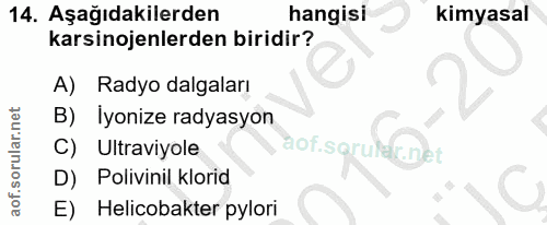 Soru 14