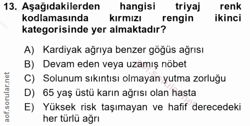 Soru 13