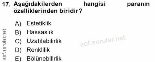 Soru 17