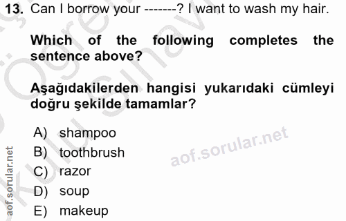 Soru 13