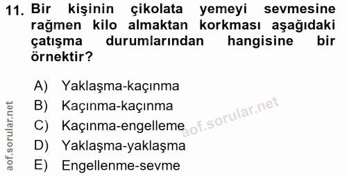 Soru 11