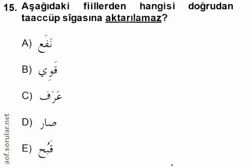 Soru 15