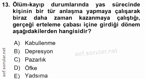 Soru 13