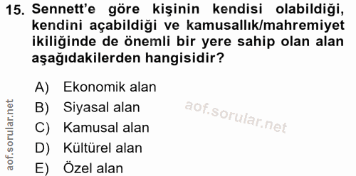 Soru 15